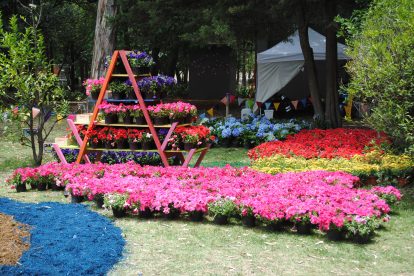 Realizan con éxito el Festival de Flores y Jardines - Protocolo Foreign